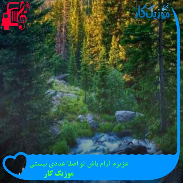آهنگ عزیزم آرام باش تو اصلا عددی نیستی از موزیک کار + متن ترانه آهنگ عزیزم آرام باش تو اصلا عددی نیستی از موزیک کار + متن ترانه
