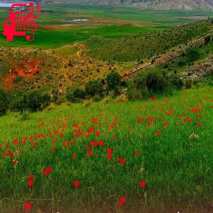 دانلود آهنگ آهنگ بعد ته حال بده مخ رده ریمیکس از موزیک کار