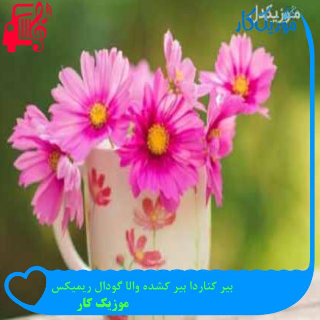 آهنگ بیر کناردا بیر کشده والا گودال ریمیکس از موزیک کار + متن ترانه آهنگ بیر کناردا بیر کشده والا گودال ریمیکس از موزیک کار + متن ترانه