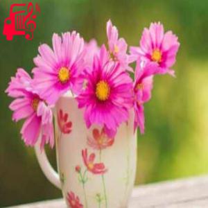 دانلود آهنگ آهنگ هندی چوکه چوکه از موزیک کار + متن ترانه