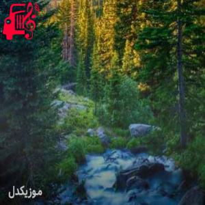 کاور آهنگ داغلارین قاری منم از موزیک کار + متن ترانه اثر موزیک کار