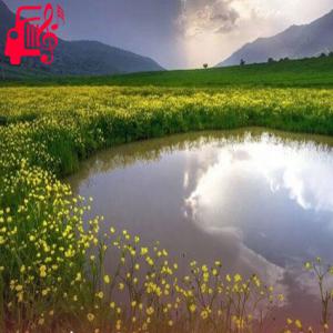 دانلود آهنگ آهنگ دختر کابل هستی شاخه پرگل استی از موزیک کار