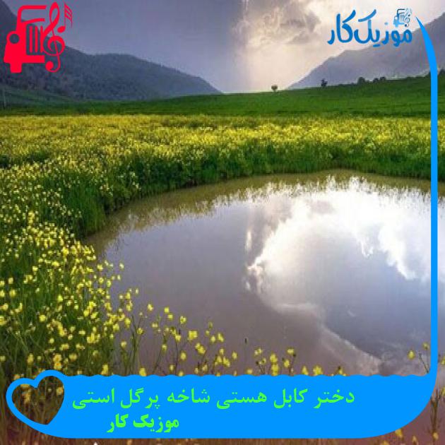 آهنگ دختر کابل هستی شاخه پرگل استی از موزیک کار آهنگ دختر کابل هستی شاخه پرگل استی از موزیک کار