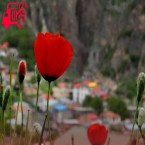 دانلود آهنگ آهنگ اسمت کتم ولای ملم با گیتار از موزیک کار