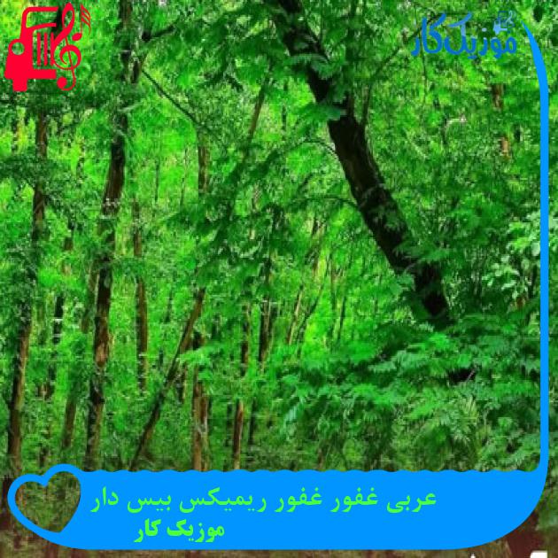 آهنگ عربی غفور غفور ریمیکس بیس دار از موزیک کار