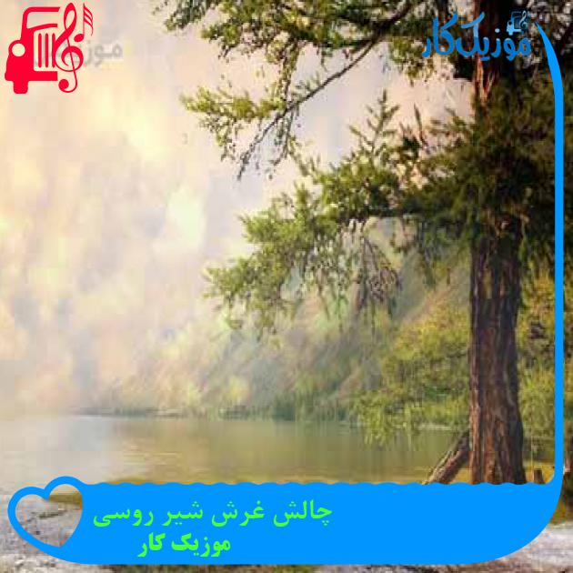 آهنگ چالش غرش شیر روسی از موزیک کار + متن ترانه آهنگ چالش غرش شیر روسی از موزیک کار + متن ترانه