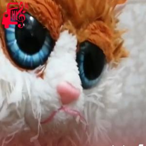 دانلود آهنگ آهنگ گوجی صلواتی هستم از موزیک کار + متن ترانه