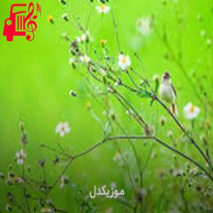 دانلود آهنگ آهنگ گل نیلوفر چشمه کوثر از موزیک کار