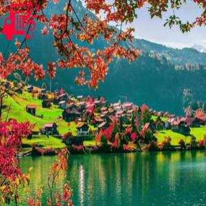 کاور آهنگ گوگله گوگله هندی از موزیک کار + متن ترانه اثر موزیک کار