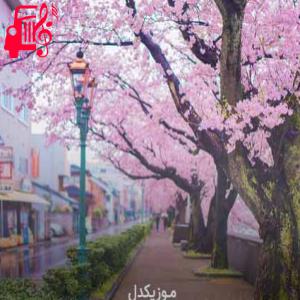 دانلود آهنگ آهنگ هپی برس دی خارجی جدید ریمیکس شاد از موزیک کار + متن ترانه