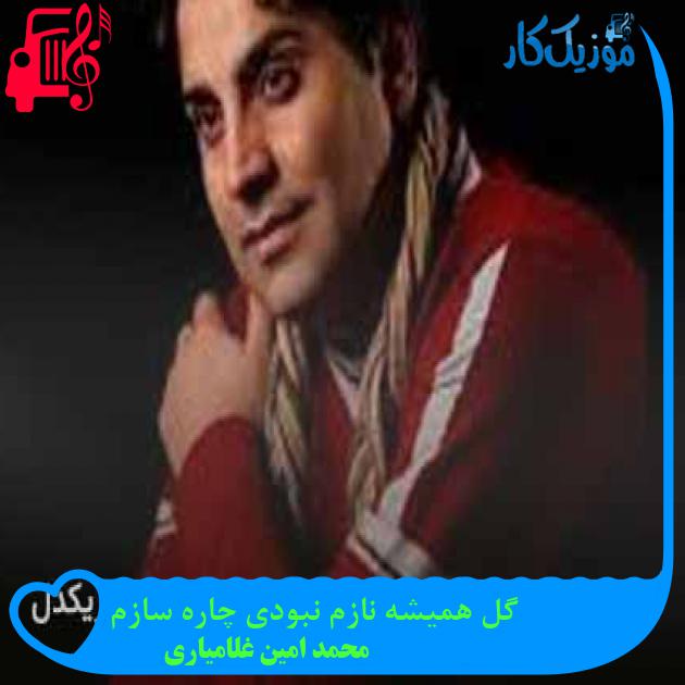 آهنگ گل همیشه نازم نبودی چاره سازم از محمد امین غلامیاری + متن ترانه آهنگ گل همیشه نازم نبودی چاره سازم از محمد امین غلامیاری + متن ترانه