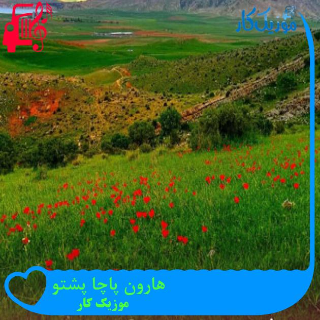 آهنگ هارون پاچا پشتو از موزیک کار