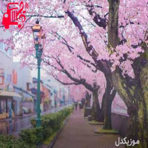 دانلود آهنگ آهنگ حیران شده ام بعد تو از موزیک کار + متن ترانه
