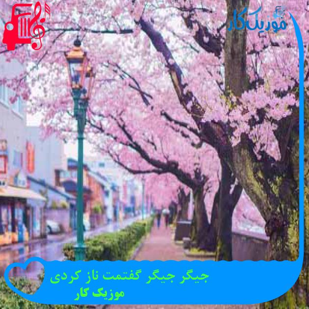 آهنگ جیگر جیگر گفتمت ناز کردی از موزیک کار + متن ترانه