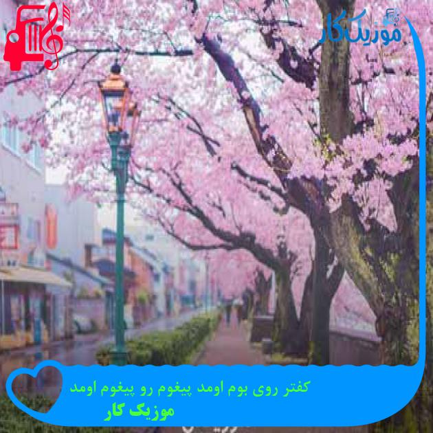 آهنگ کفتر روی بوم اومد پیغوم رو پیغوم اومد از موزیک کار + متن ترانه