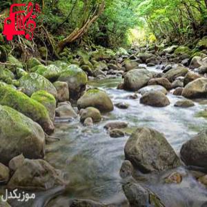 دانلود آهنگ آهنگ نشد برای عشقمان گروهی با گیتار از موزیک کار