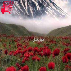 کاور آهنگ پیک و پیک الان توام سرخوش بکم ریمیکس از موزیک کار + متن ترانه اثر موزیک کار