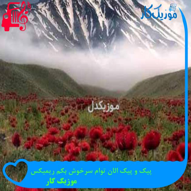 آهنگ پیک و پیک الان توام سرخوش بکم ریمیکس از موزیک کار + متن ترانه آهنگ پیک و پیک الان توام سرخوش بکم ریمیکس از موزیک کار + متن ترانه