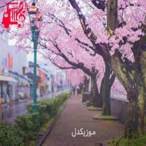 کاور آهنگ ترکی رویا در سریال خواهر و برادرانم از موزیک کار + متن ترانه اثر موزیک کار