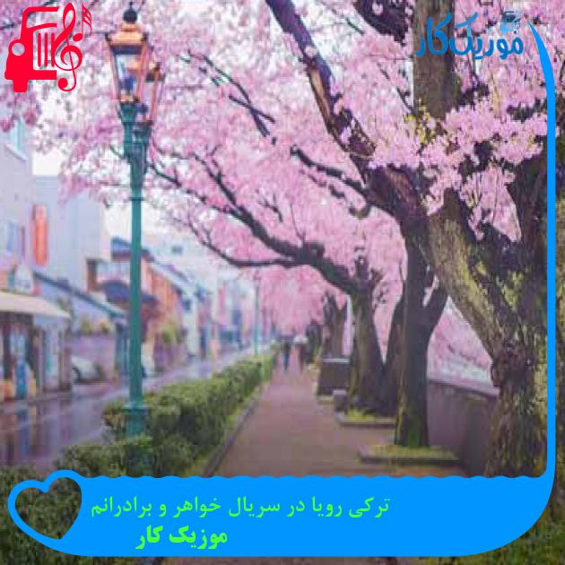 آهنگ ترکی رویا در سریال خواهر و برادرانم از موزیک کار + متن ترانه آهنگ ترکی رویا در سریال خواهر و برادرانم از موزیک کار + متن ترانه