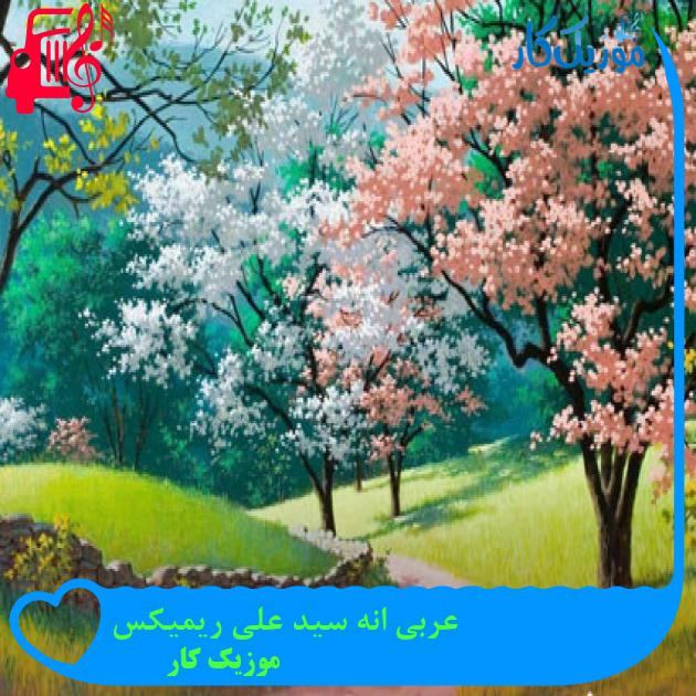 آهنگ عربی انه سید علی ریمیکس از موزیک کار آهنگ عربی انه سید علی ریمیکس از موزیک کار