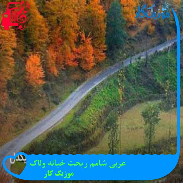آهنگ عربی شامم ریحت خیانه ولاک از موزیک کار + متن ترانه آهنگ عربی شامم ریحت خیانه ولاک از موزیک کار + متن ترانه