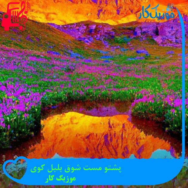 آهنگ پشتو مست شوق بلبل کوی از موزیک کار آهنگ پشتو مست شوق بلبل کوی از موزیک کار