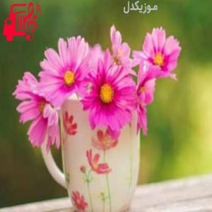 دانلود آهنگ آهنگ دست پر عاشقته قلبم ببین اجرای گروهی از موزیک کار + متن ترانه