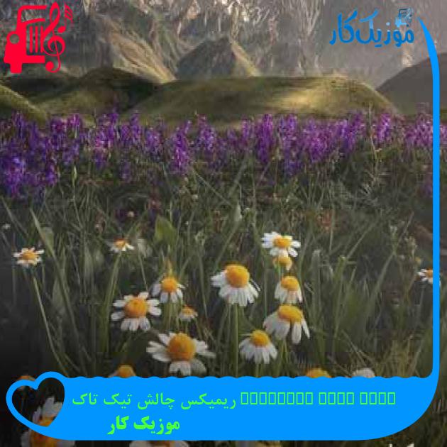 آهنگ your body language ریمیکس چالش تیک تاک از موزیک کار + متن ترانه آهنگ your body language ریمیکس چالش تیک تاک از موزیک کار + متن ترانه