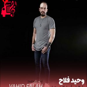 کاور آهنگ شکارچی از وحید فلاح + متن ترانه اثر وحید فلاح