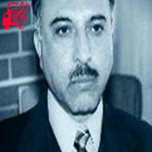 کاور آهنگ میشه در باغ دو چشمایت بشینم از وحید قاسمی + متن ترانه اثر وحید قاسمی