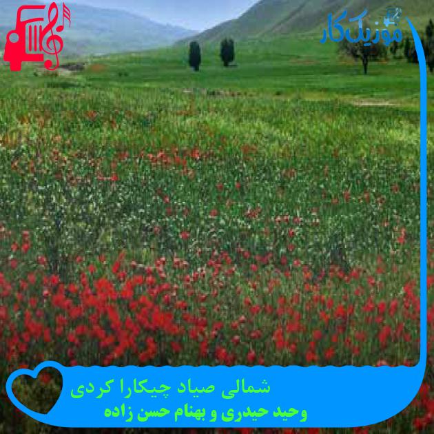 آهنگ شمالی صیاد چیکارا کردی از وحید حیدری و بهنام حسن زاده + متن ترانه آهنگ شمالی صیاد چیکارا کردی از وحید حیدری و بهنام حسن زاده + متن ترانه