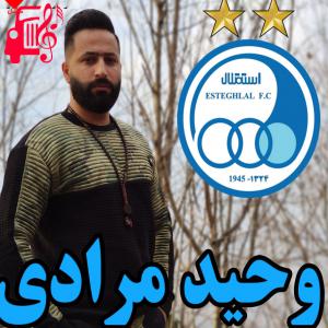 کاور آهنگ استقلال از وحید مرادی + متن ترانه اثر وحید مرادی