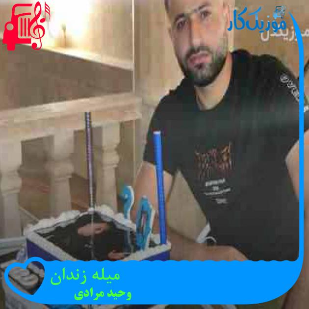 آهنگ میله زندان از وحید مرادی + متن ترانه آهنگ میله زندان از وحید مرادی + متن ترانه