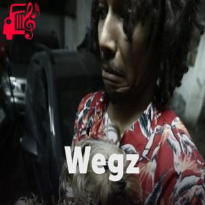 کاور آهنگ باظت از Wegz اثر Wegz