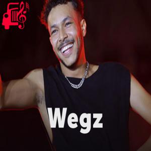کاور آهنگ مش هقولک بیبی از Wegz اثر Wegz