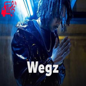 کاور آهنگ سالینی از Wegz اثر Wegz