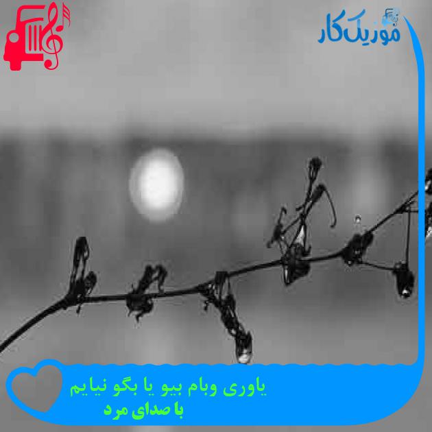 آهنگ یاوری وبام بیو یا بگو نیایم از با صدای مرد + متن ترانه آهنگ یاوری وبام بیو یا بگو نیایم از با صدای مرد + متن ترانه