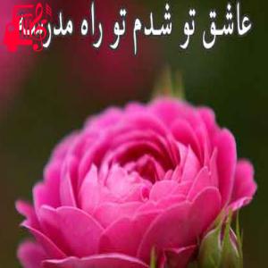 کاور آهنگ عاشق تو شدم از یاسین + متن ترانه اثر یاسین