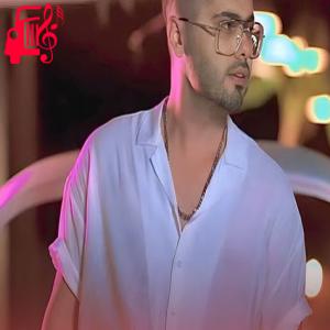 دانلود آهنگ آهنگ خودم تنها تنها دلم از تمام اجراها + متن ترانه
