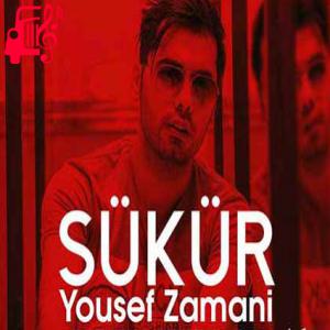 کاور آهنگ Sukur (شوکور) از یوسف زمانی اثر یوسف زمانی