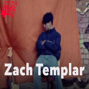 دانلود آهنگ آهنگ missing something از Zach Templar + متن ترانه