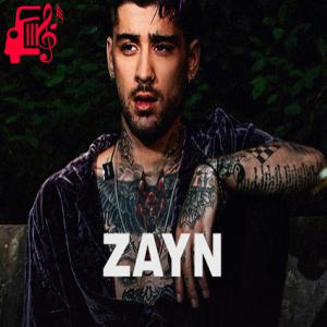 دانلود آهنگ آهنگ Calamity از ZAYN