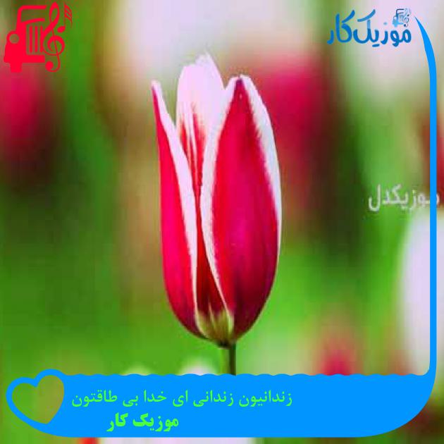 آهنگ زندانیون زندانی ای خدا بی طاقتون از موزیک کار آهنگ زندانیون زندانی ای خدا بی طاقتون از موزیک کار
