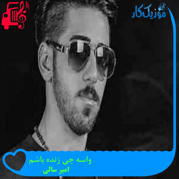آهنگ واسه چی زنده باشم از امیر سالی + متن ترانه