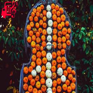 دانلود آهنگ آهنگ گیر کرده دلم لای موهای فرفریت از با صدای مرد + متن ترانه
