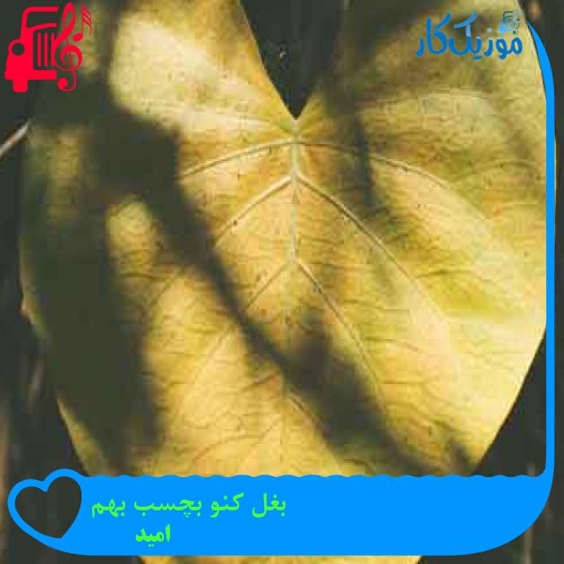 آهنگ بغل کنو بچسب بهم از امید + متن ترانه