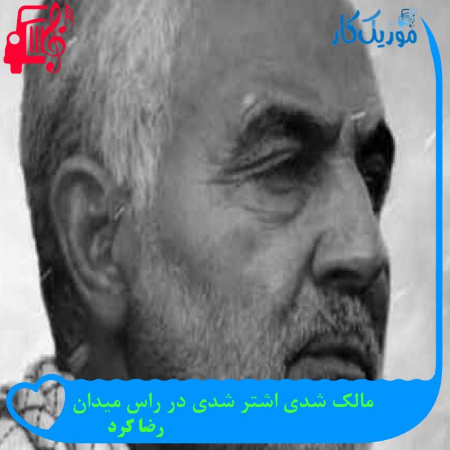 آهنگ مالک شدی اشتر شدی در راس میدان از رضا کرد + متن ترانه