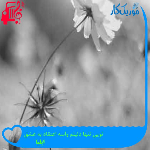 آهنگ تویی تنها دلیلم واسه اعتقاد به عشق از ایلیا + متن ترانه