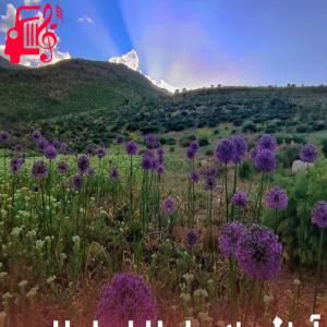 کاور آهنگ هندی بامبارا بام بامبارا از موزیک کار + متن ترانه اثر موزیک کار